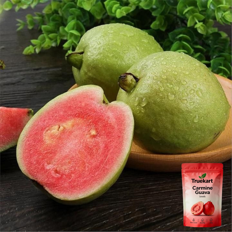 🍈TrueFruit™ – Juicy High Quality Red Guava Organic Seeds Pack+ FREE Potting Mix Pack