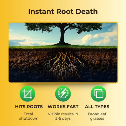 Cyclosinone Herbicide Granules ( Pack Of 2 )