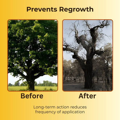 Cyclosinone Herbicide Granules ( Pack Of 2 )