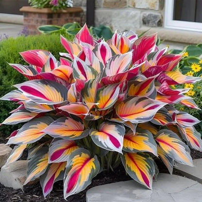 TruFlora™ Rare Premium Multicolor Hosta Seeds